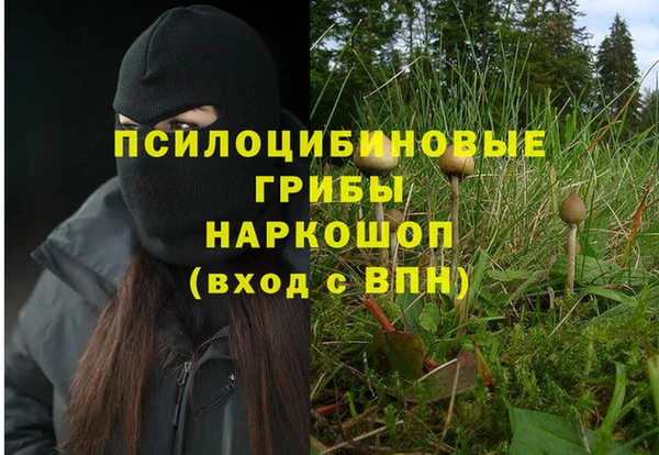 гидропоника Алзамай