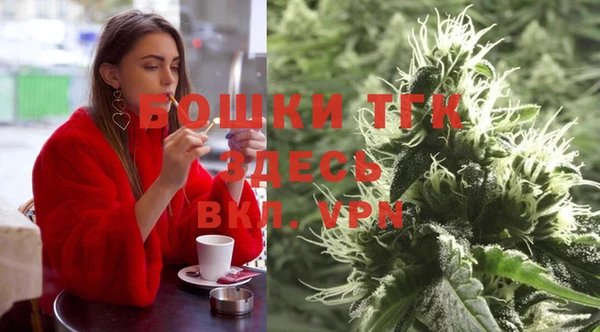 гидропоника Алзамай