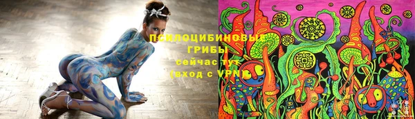 гидропоника Алзамай