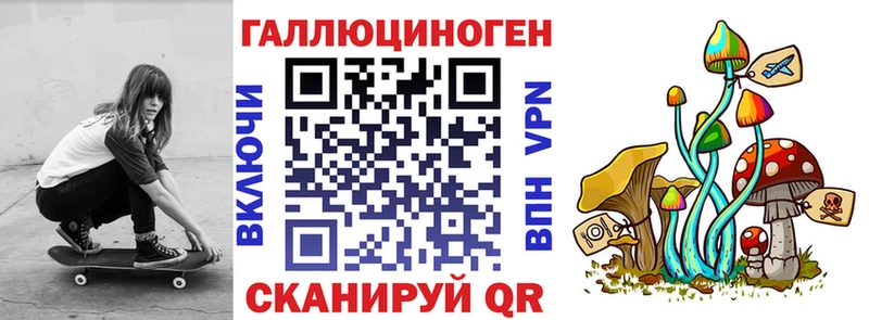 Псилоцибиновые грибы Cubensis где купить наркоту МЕГА зеркало Заозёрный